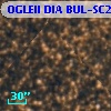 OGLEII DIA BUL-SC23   2779