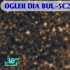 OGLEII DIA BUL-SC23   3253