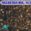 OGLEII DIA BUL-SC23   3389