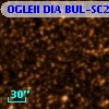 OGLEII DIA BUL-SC24    261