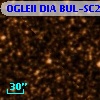 OGLEII DIA BUL-SC24    303