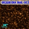 OGLEII DIA BUL-SC24    362