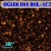 OGLEII DIA BUL-SC24    590