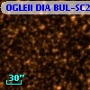 OGLEII DIA BUL-SC24    715