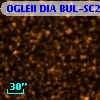 OGLEII DIA BUL-SC24    734