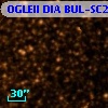 OGLEII DIA BUL-SC24    960