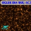 OGLEII DIA BUL-SC24   1304
