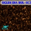 OGLEII DIA BUL-SC24   1407