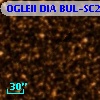 OGLEII DIA BUL-SC24   2025