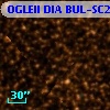 OGLEII DIA BUL-SC24   3449