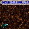 OGLEII DIA BUL-SC25     42