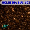 OGLEII DIA BUL-SC25    360