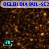 OGLEII DIA BUL-SC25    397