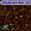 OGLEII DIA BUL-SC25    724