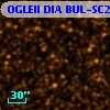 OGLEII DIA BUL-SC25    985