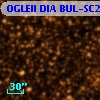 OGLEII DIA BUL-SC25   1011