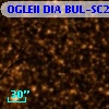 OGLEII DIA BUL-SC25   1091