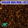 OGLEII DIA BUL-SC25   1258