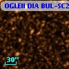 OGLEII DIA BUL-SC25   1316