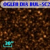 OGLEII DIA BUL-SC25   1484