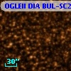 OGLEII DIA BUL-SC25   2110