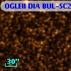 OGLEII DIA BUL-SC25   2124