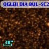 OGLEII DIA BUL-SC25   2215