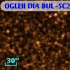 OGLEII DIA BUL-SC25   2287