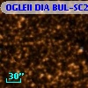 OGLEII DIA BUL-SC25   2399