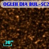 OGLEII DIA BUL-SC25   2600