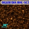 OGLEII DIA BUL-SC25   2601