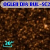 OGLEII DIA BUL-SC25   2709
