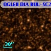 OGLEII DIA BUL-SC25   2741