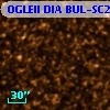 OGLEII DIA BUL-SC25   2801
