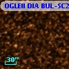 OGLEII DIA BUL-SC25   2849