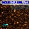 OGLEII DIA BUL-SC25   3027