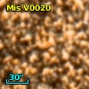 V* V1247 Sco