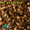 V* V1251 Sco