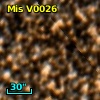 V* V1272 Sco