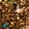V* V1250 Sco