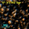 V* V1742 Sgr
