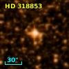 HD 318853