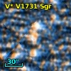 V* V1731 Sgr