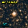 HD 318836