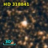HD 318841