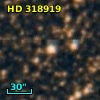 HD 318919