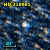 HD 318981