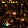 HD 318956