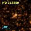 HD 318859
