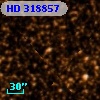 HD 318857